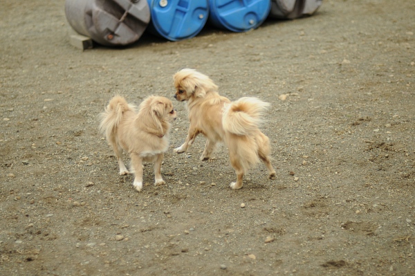 CSF　GL同窓会 40_c0109780_21413269.jpg