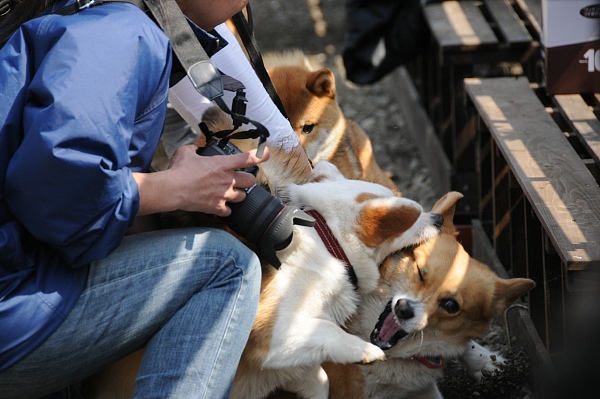 とぶき　200903 12_c0109780_21495538.jpg