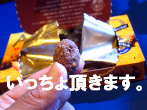 あられなのかい?チョコなのかい?_f0144385_20333643.jpg