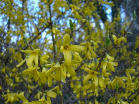 f0169885_22255218.jpg