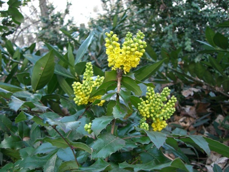 f0169885_2226726.jpg