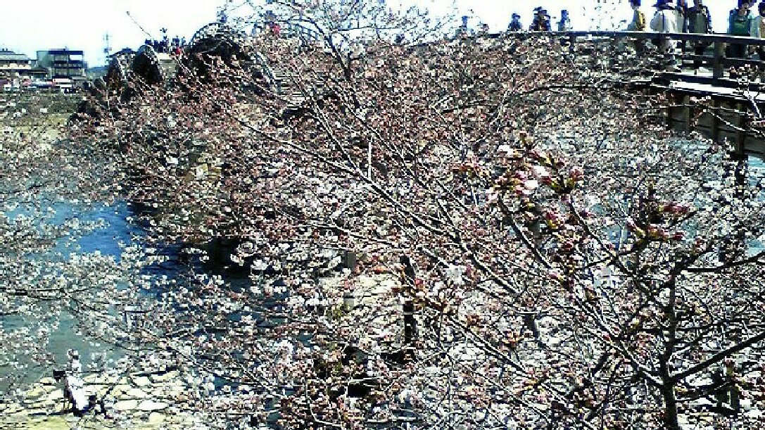 c0193187_22451983.jpg