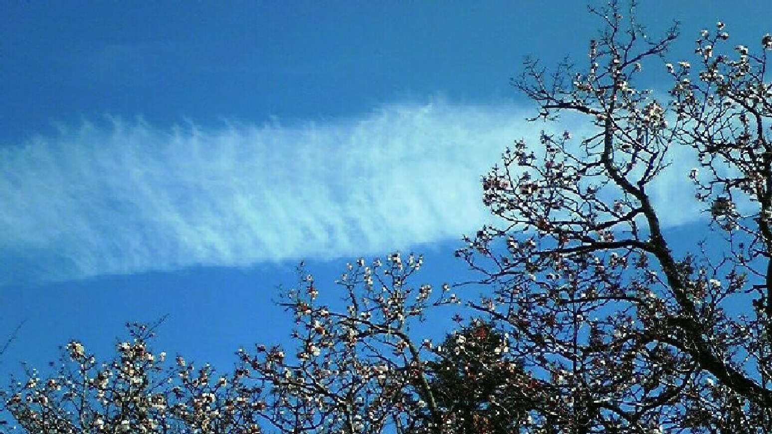 c0193187_23114565.jpg