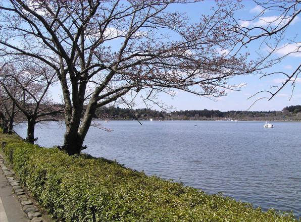 e0081292_1165020.jpg