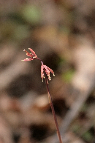 d0133693_20105493.jpg