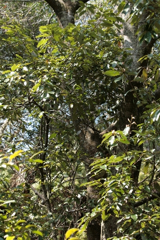 d0133693_20112021.jpg