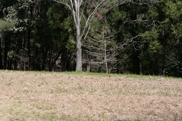 d0133693_20115747.jpg