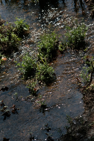 d0133693_21535018.jpg