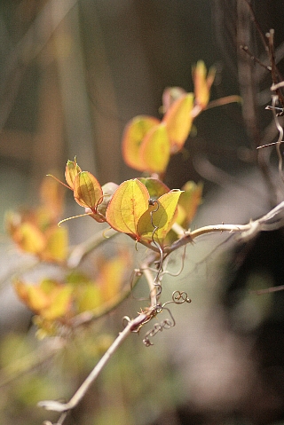 d0133693_21553971.jpg