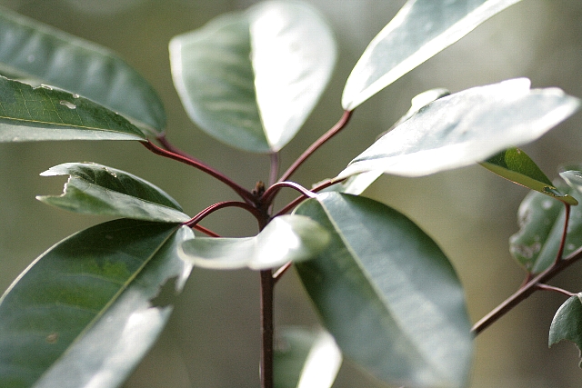 d0133693_21554785.jpg
