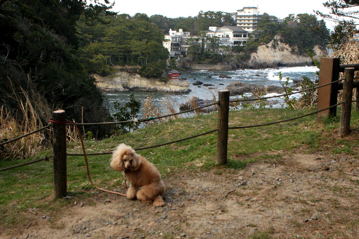 やっぱそうなっちゃいますぅ～？　　＊2009年03月28日（土）＊_f0118293_21582949.jpg