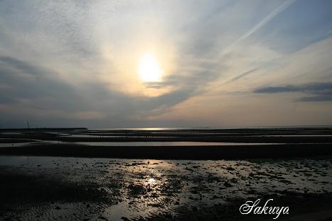 実家の桜と海岸の夕空写真♪_e0122194_2257281.jpg