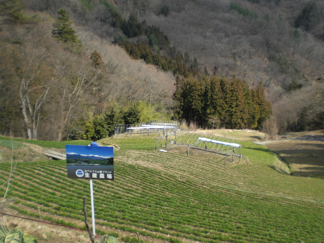 c0099395_9143944.jpg