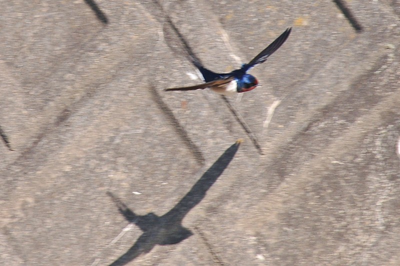 f0168596_23133813.jpg