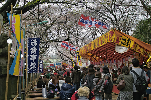 上野恩賜公園・・・東照宮の桜_d0069398_223158.jpg