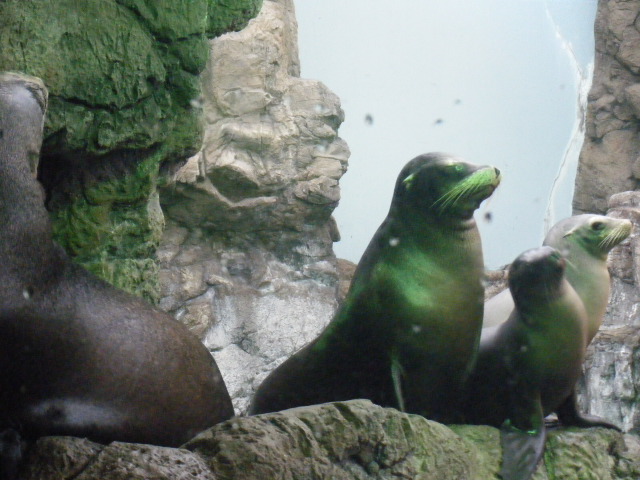 a0050302_66421.jpg