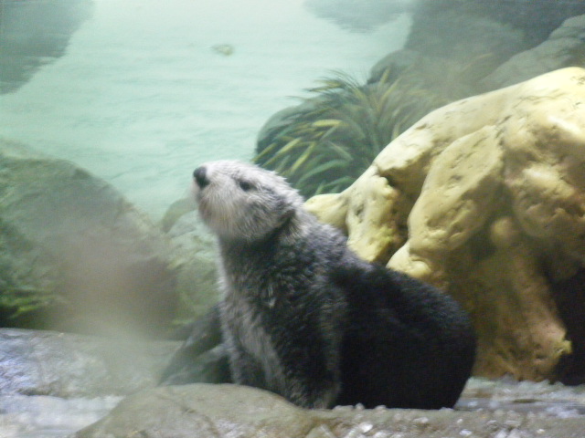 a0050302_68866.jpg