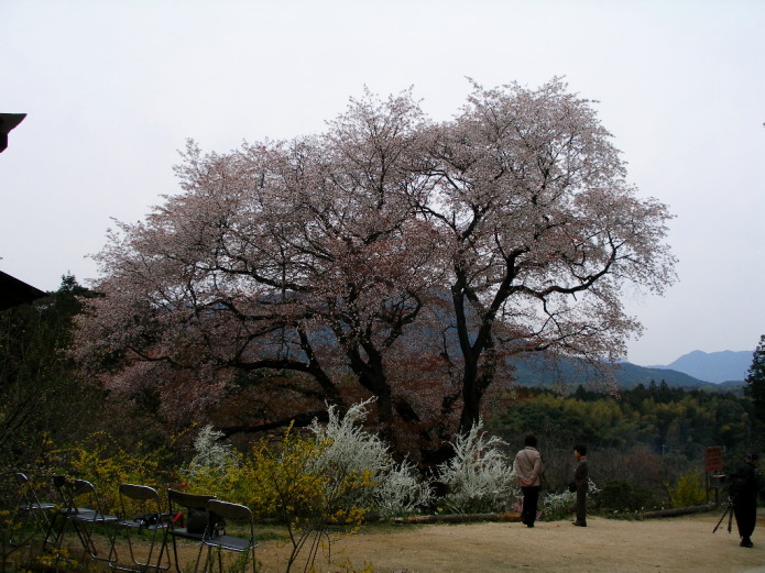 c0036203_206764.jpg