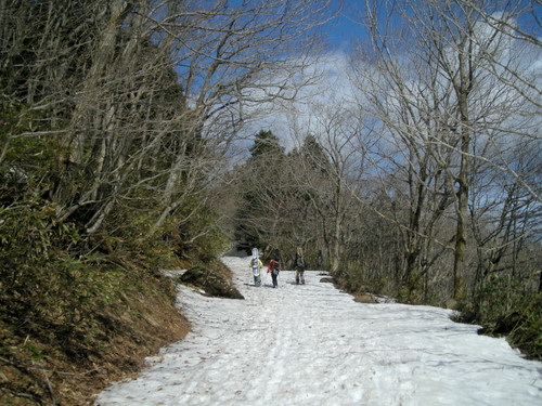 e0083204_11412260.jpg