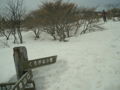 e0083204_11505213.jpg