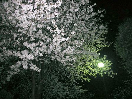 角島_f0035506_7493987.jpg