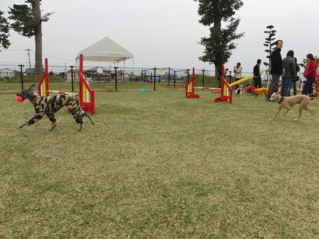 e0141909_2320115.jpg
