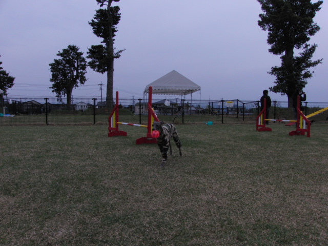 e0141909_23215114.jpg