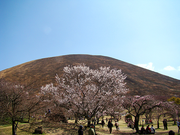 e0034012_9553758.jpg
