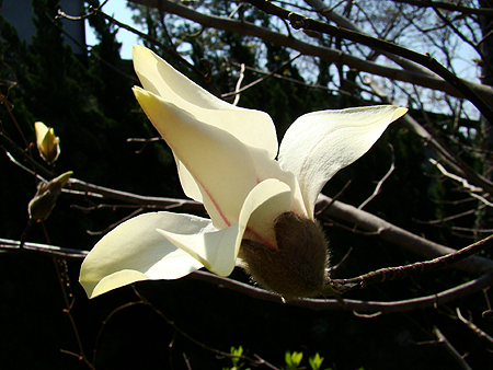 e0034012_957125.jpg