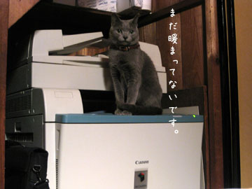 e0156015_14181942.jpg