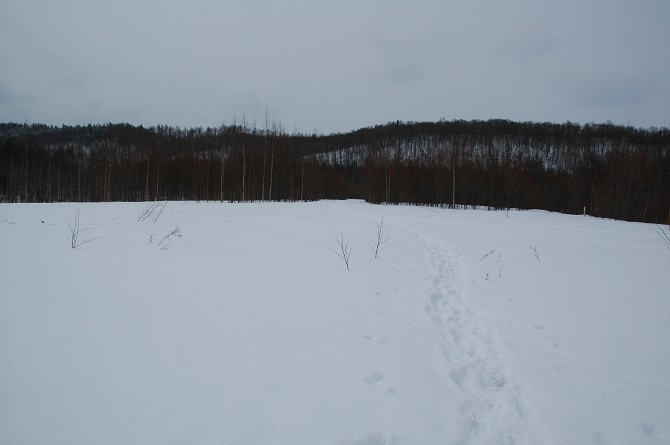 b0152416_0292319.jpg