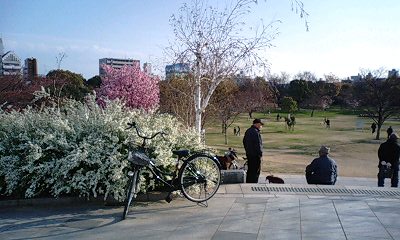 八幡屋公園_a0098418_21365925.jpg