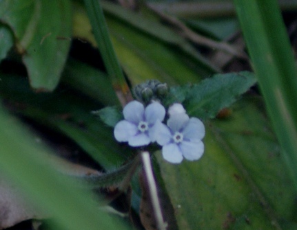 c0042418_8333436.jpg