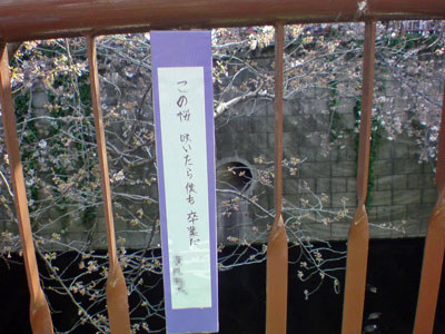 f0064818_1725897.jpg