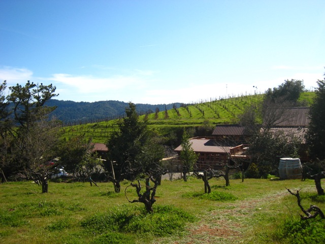 Ridge Vineyards－Monte Bello_f0187219_15281212.jpg