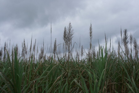 f0097620_2345258.jpg