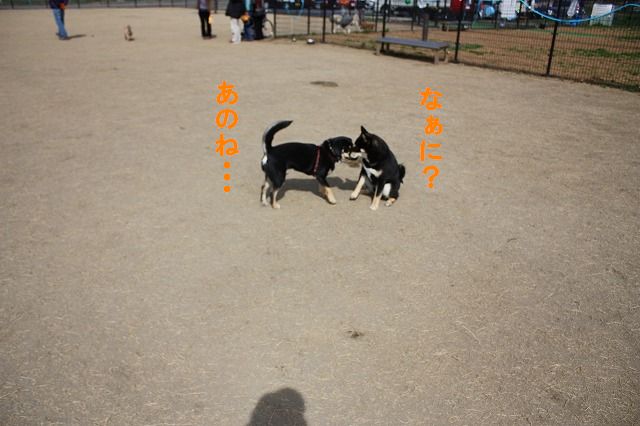 e0162524_14563466.jpg