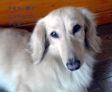 c0117831_22182113.jpg