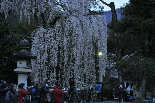 c0093046_7412994.gif