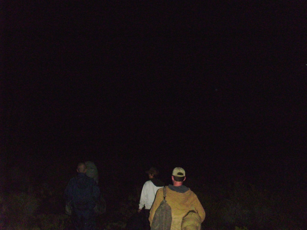 c0094654_424259.jpg
