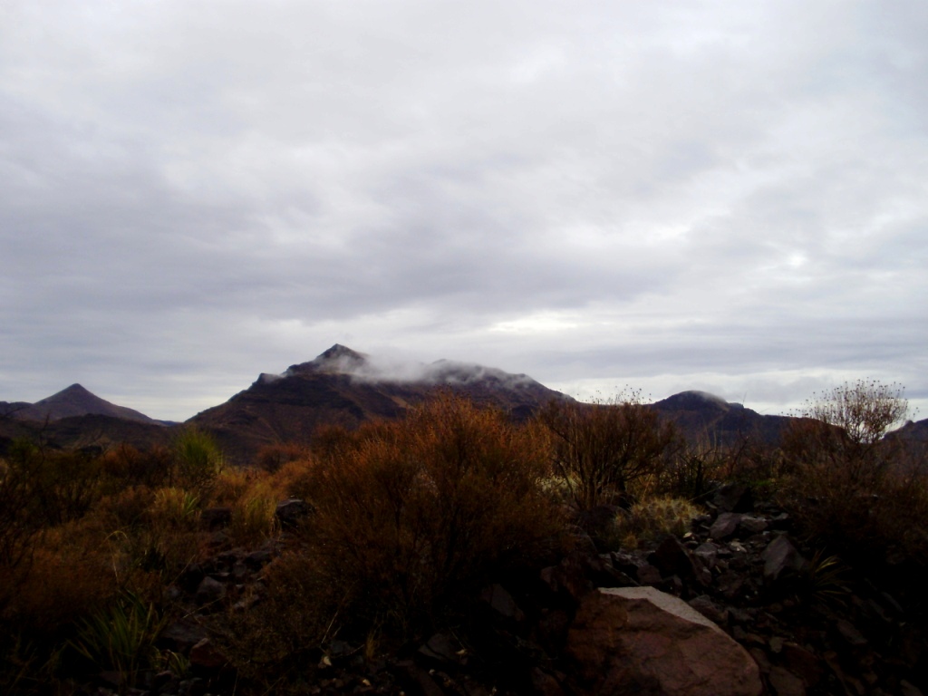 c0094654_4351883.jpg
