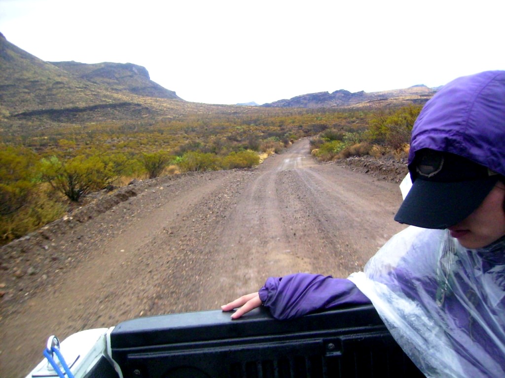 c0094654_441670.jpg