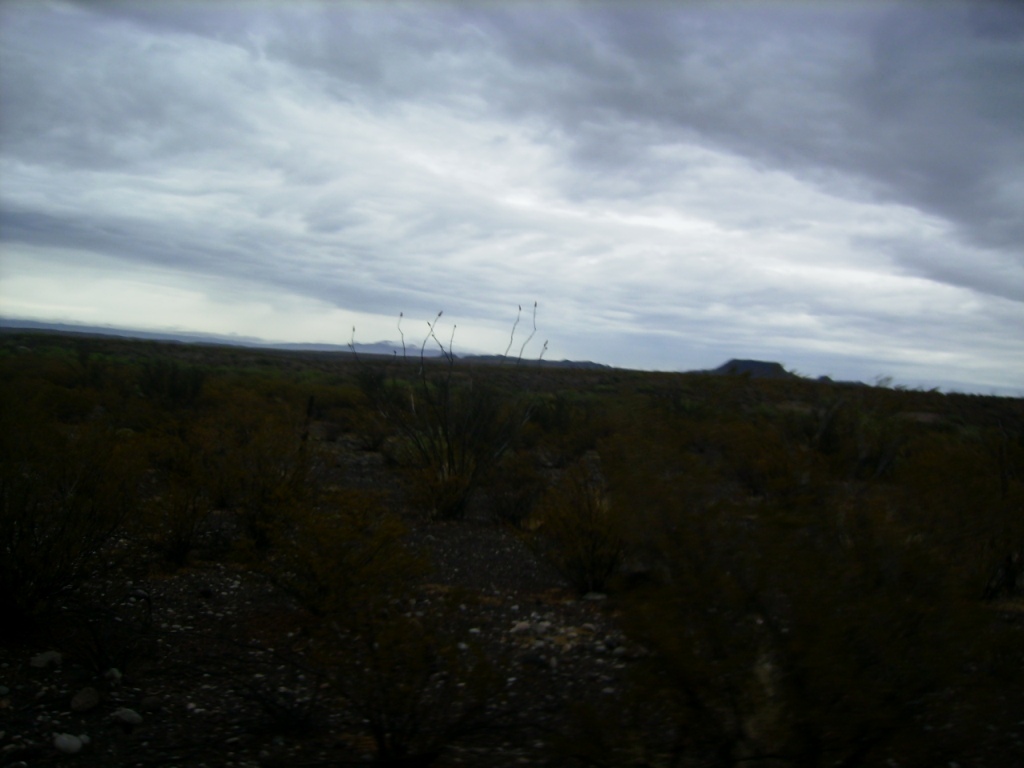 c0094654_4434149.jpg