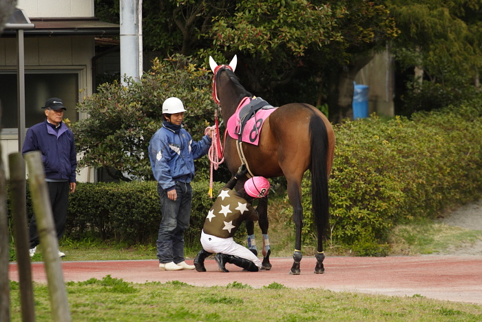 2009年3月28日（土） 高知競馬 11R 一発逆転 ファイナルレース C6 記者選抜_a0077663_184273.jpg