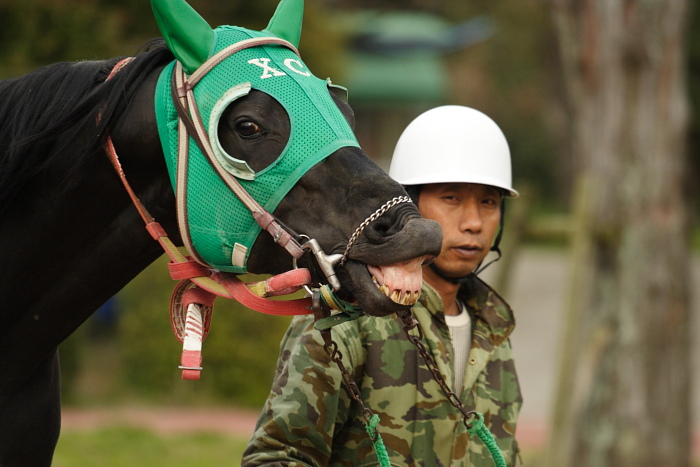 2009年3月28日（土） 高知競馬 11R 一発逆転 ファイナルレース C6 記者選抜_a0077663_184368.jpg