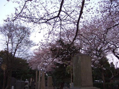 b0145863_17513721.jpg