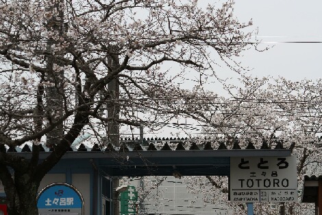 f0121167_0313578.jpg