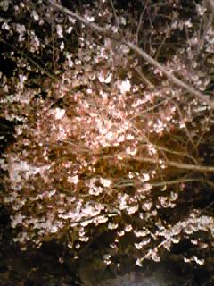 b0038570_2315399.jpg