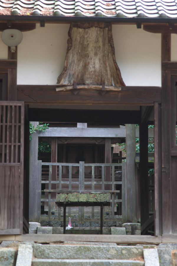 　　　栢森の神社_b0161171_7421091.jpg