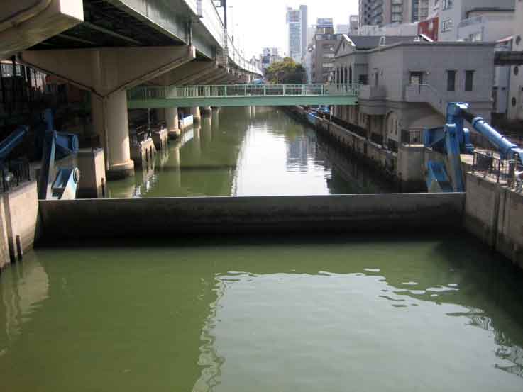 b0057679_8371569.jpg